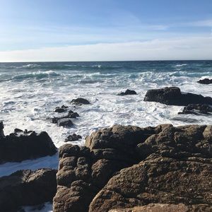 Meet your Posher, Anaya